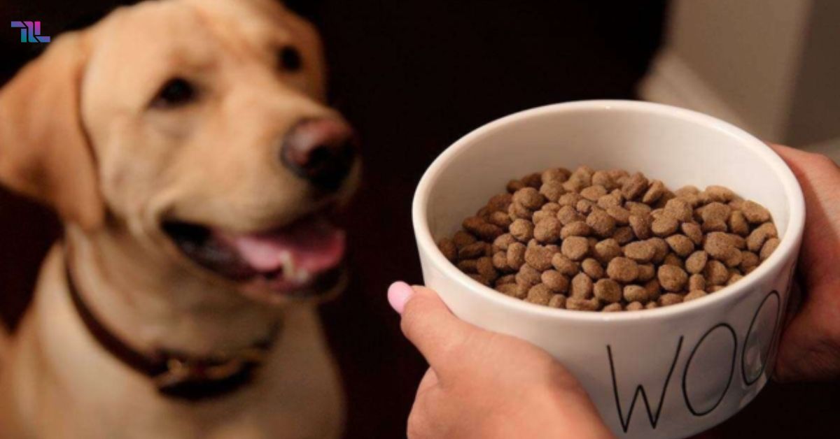 Maev Dog Food Reviews Unbiased Analysis And Expert Insights