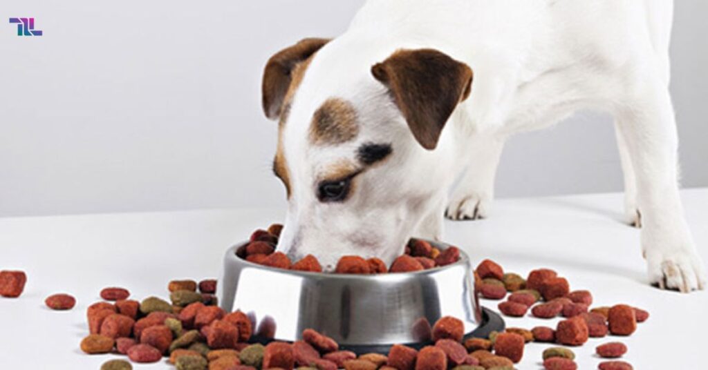 Review Analysis Of Maev Dog Food